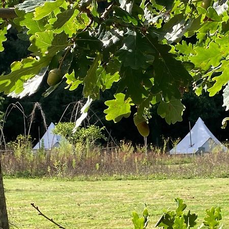 מלון Le Lindois Au Pre Fleuri Eco Glamping מראה חיצוני תמונה
