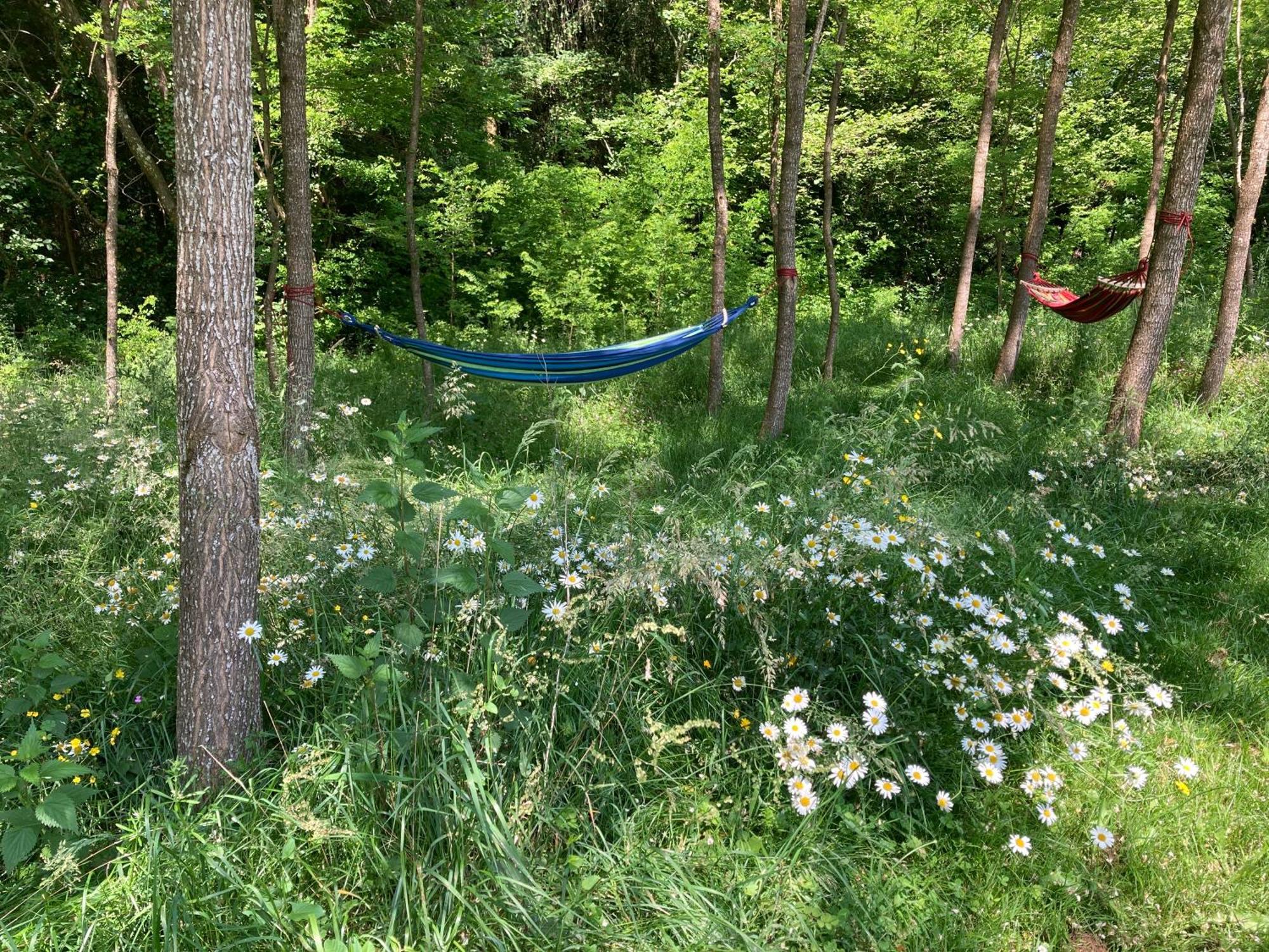מלון Le Lindois Au Pre Fleuri Eco Glamping מראה חיצוני תמונה
